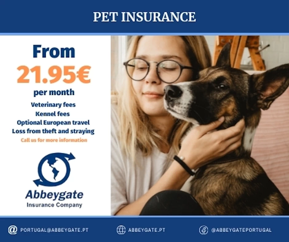 Pet Insurance